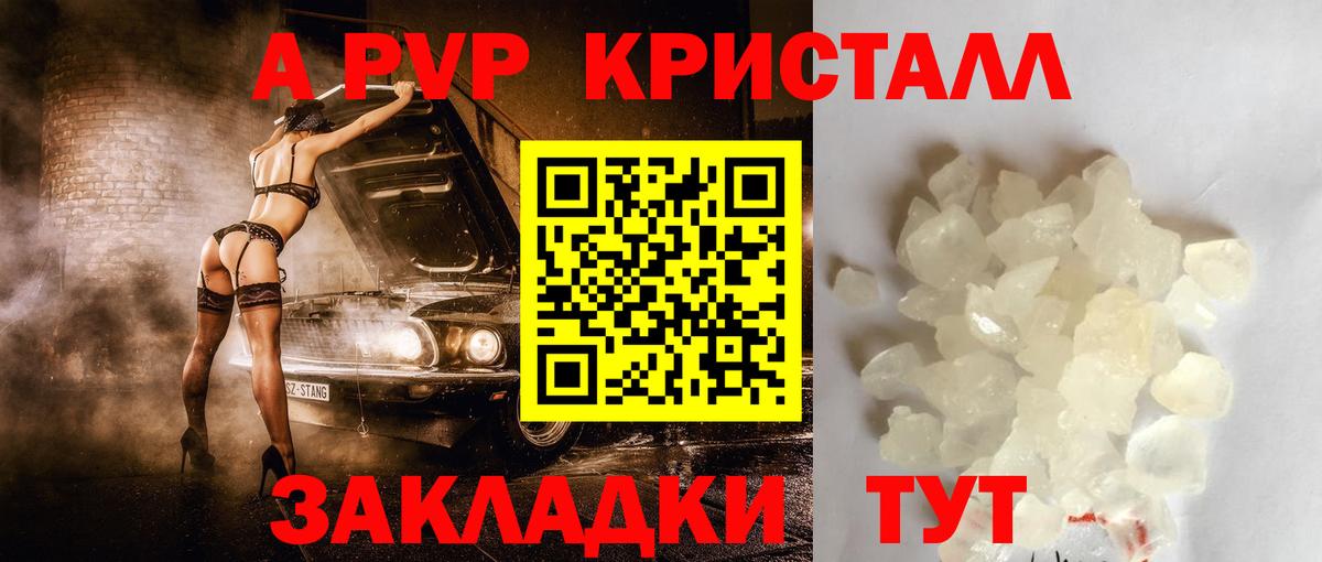 A PVP СК КРИС Можга