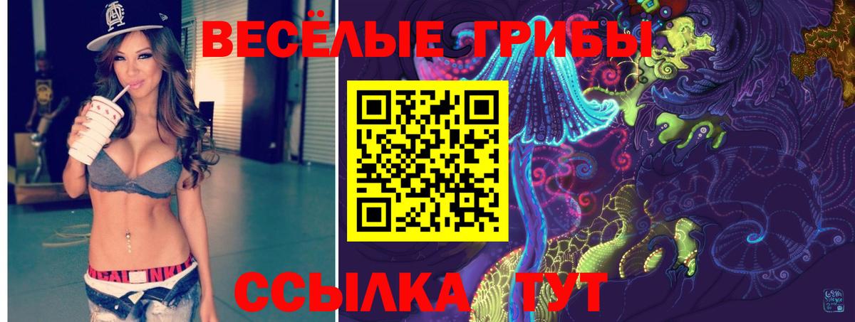 Можга  Галлюциногенные грибы Magic Shrooms  наркота  Вход с VPN 